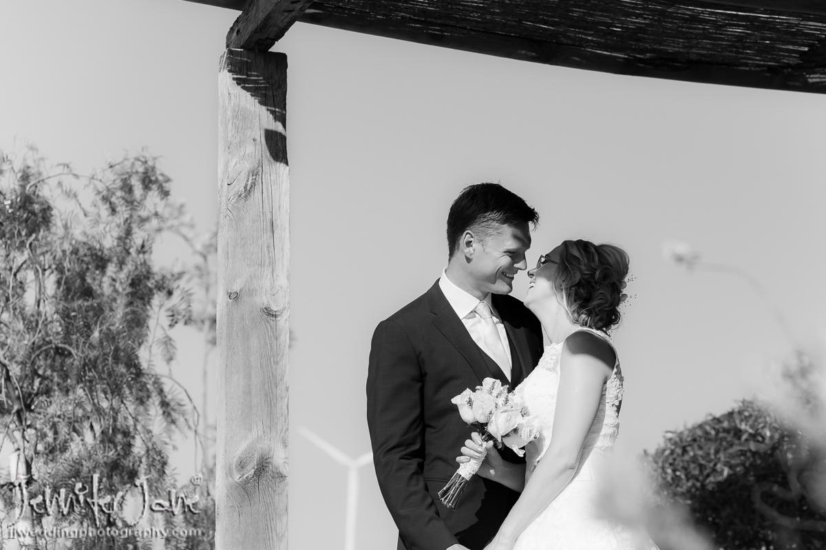 rachelandmartin_jjweddingphotography_com
