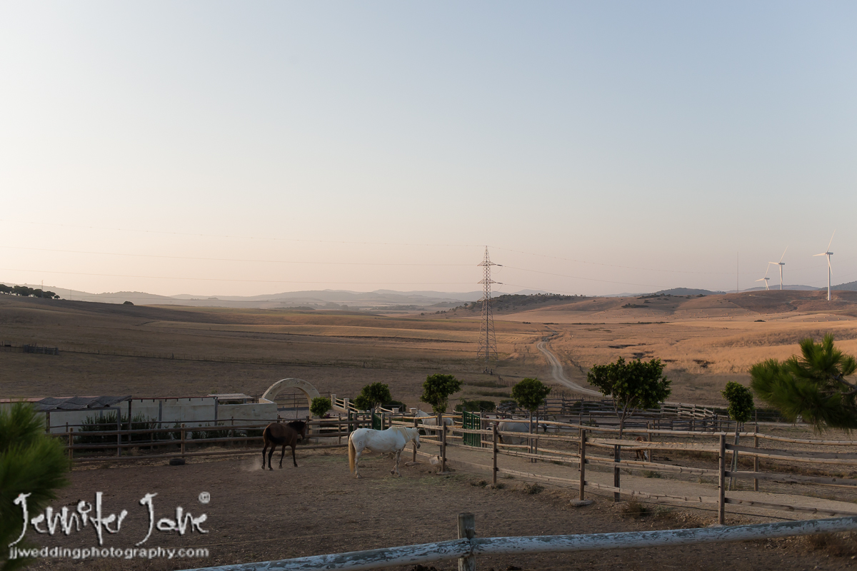 rachelandmartin_jjweddingphotography_com