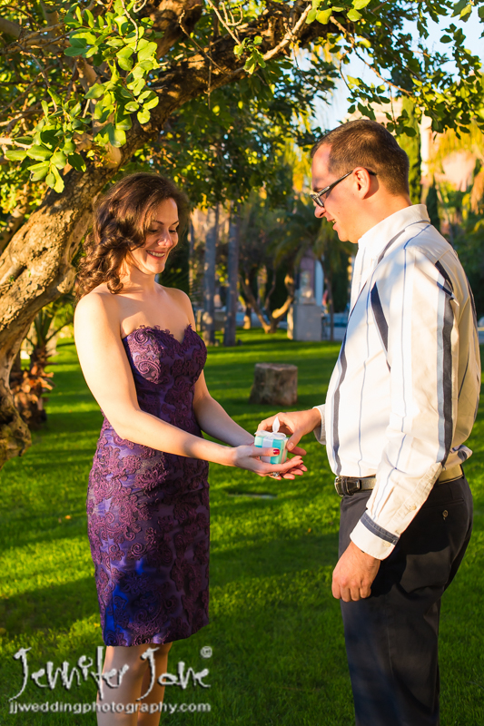 wedding proposal at villa padierna marbella
