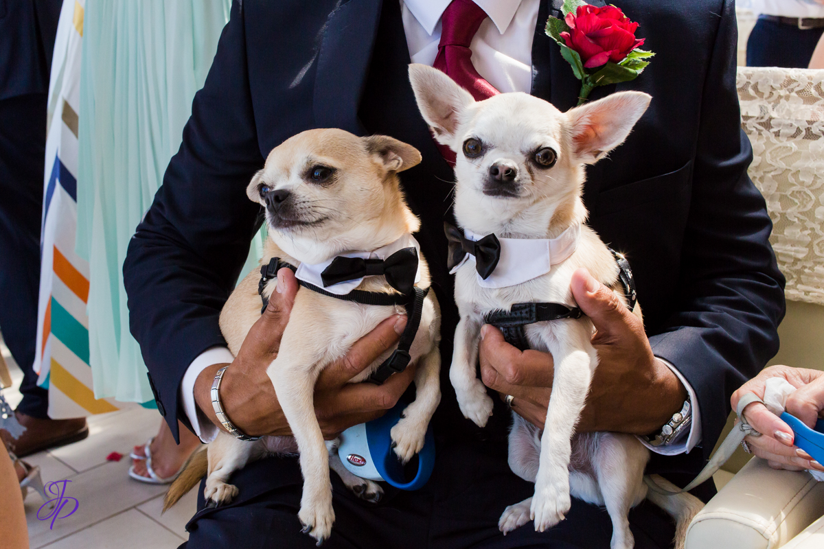 wedding_photographer_marbella_reception_jenniferjane.photography